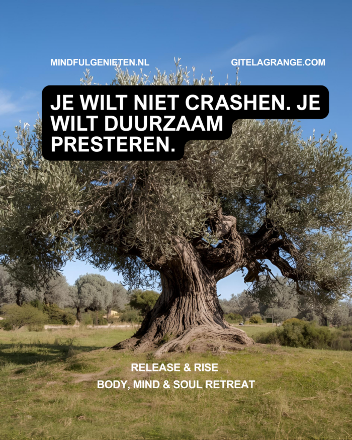 Moet ik eerst instorten voordat ik mag komen?